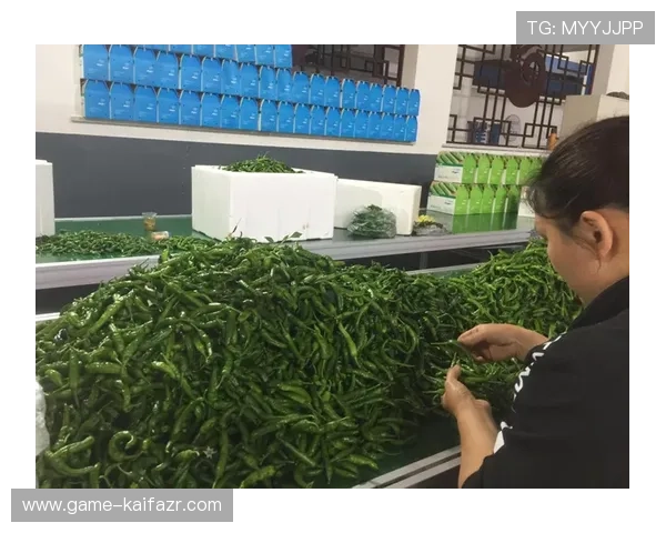 全面解析K8俱乐部地址信息，助你轻松规划前往路线体验优质游戏环境